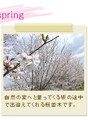 自然の家へと登ってくる坂の途中で出迎えてくれる桜並木です。
